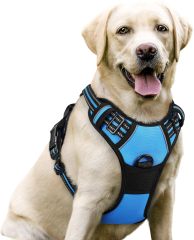 Dog Harness No Pull with 2 Leash Clips, Adjustable Soft Padded, Reflective Oxford No Choke Pet Vest with Easy Control Handle for Large Dogs
