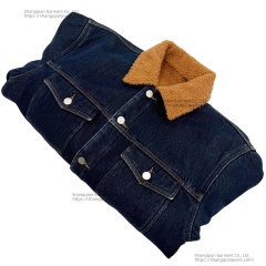 Men's jacket