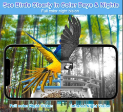 Smart Bird Feeder with Camera Solar Powered Waterproof for Garden Bird Watching Camera