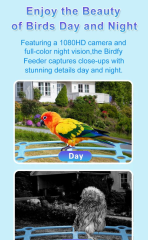 Smart Bird Feeder with Camera Solar Powered Waterproof for Garden Bird Watching Camera