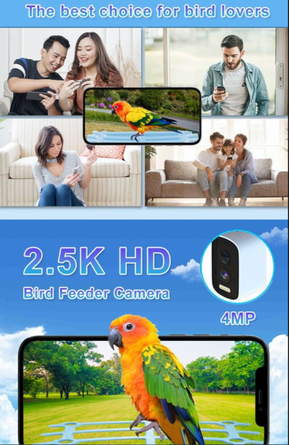 Smart Bird Feeder with Camera Solar Powered Waterproof for Garden Bird Watching Camera