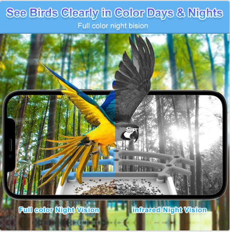 Smart Bird Feeder with Camera Solar Powered Waterproof for Garden Bird Watching Camera