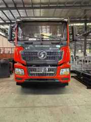 Shaanxi Auto Delong 4x8 XCMG 14-ton lorry crane with ladder