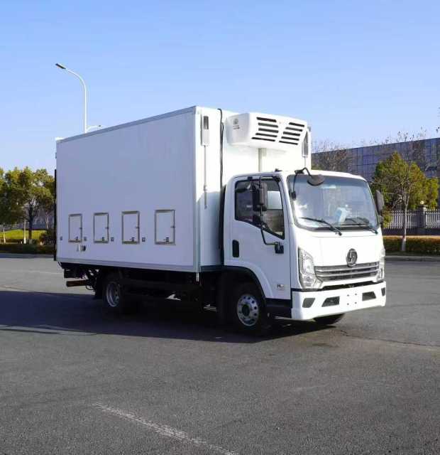 Shaanxi Auto Delong Export Chicks Transport Vehicle