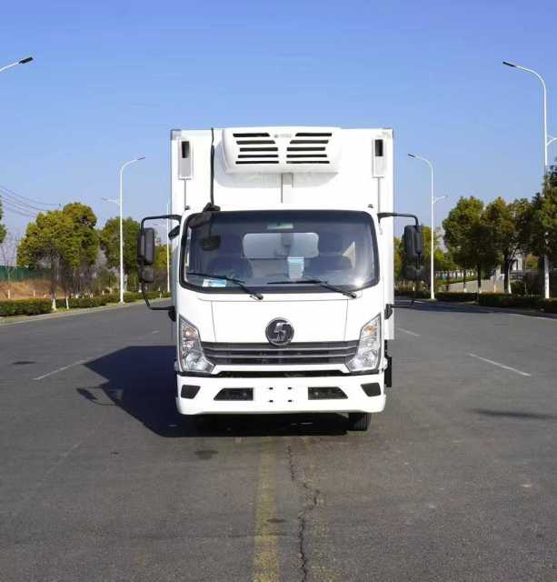 Shaanxi Auto Delong Export Chicks Transport Vehicle