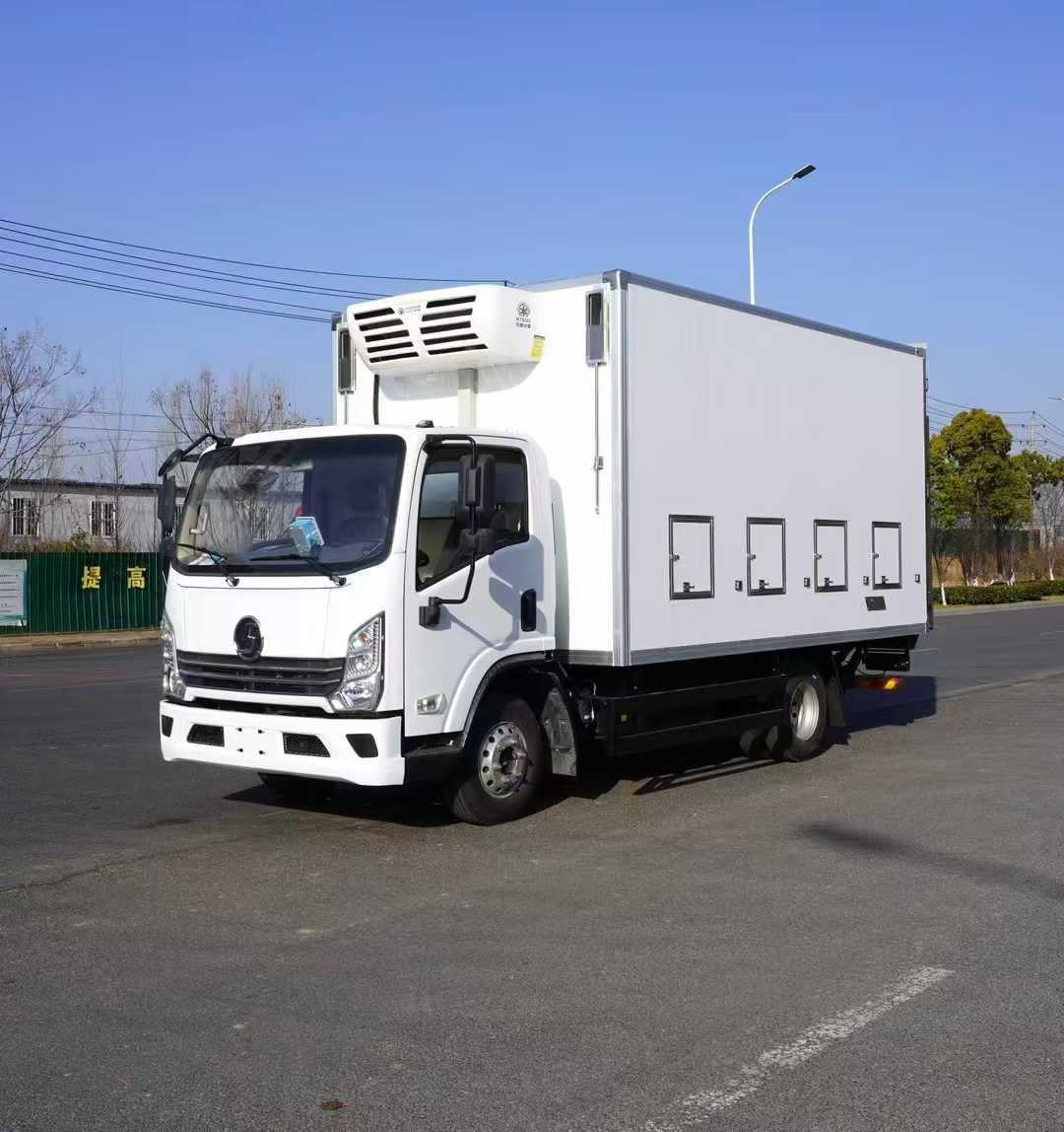 Shaanxi Auto Delong Export Chicks Transport Vehicle