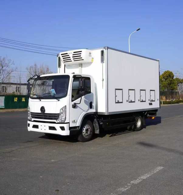 Shaanxi Auto Delong Export Chicks Transport Vehicle