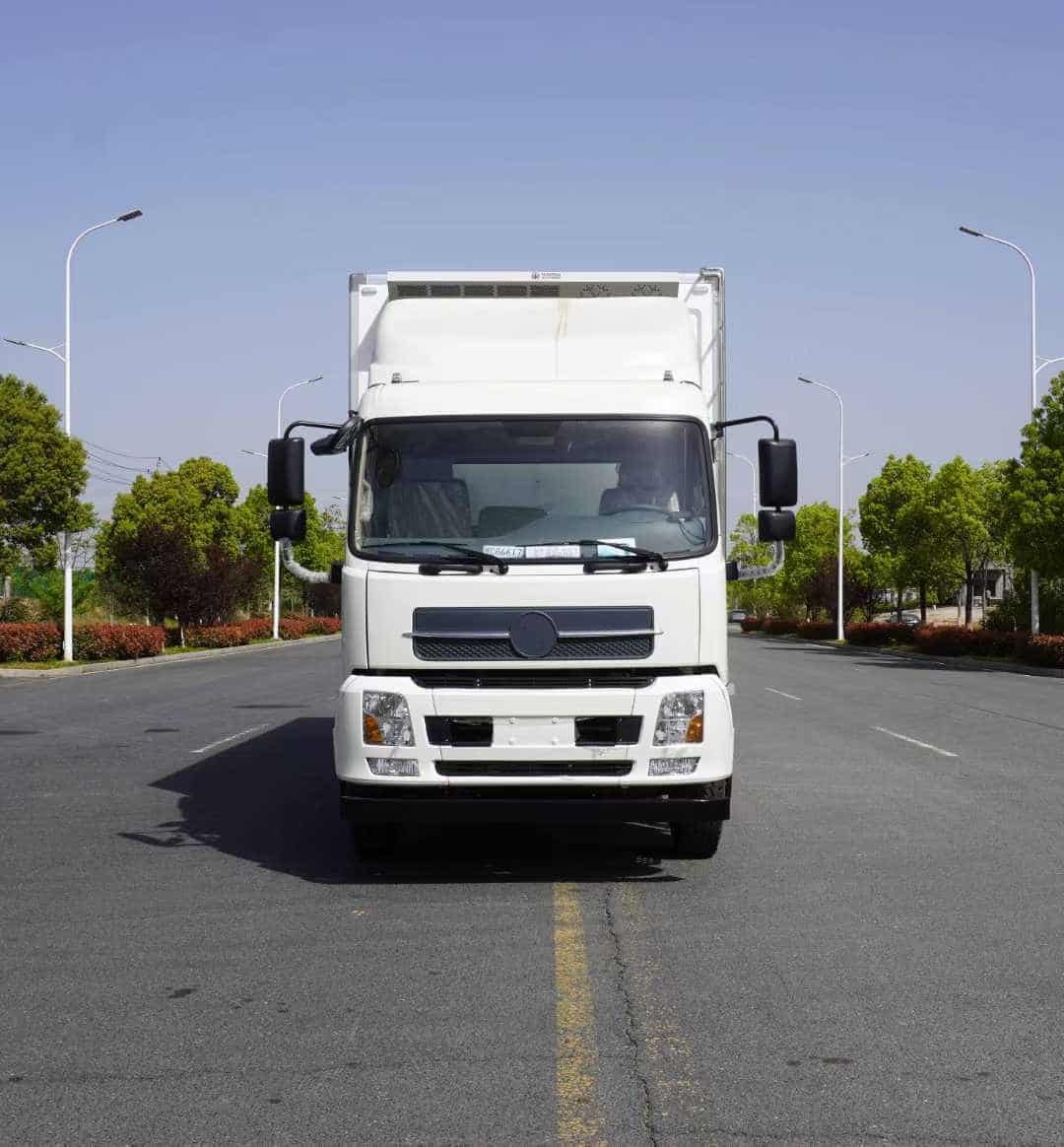Dongfeng Tianjin (National III Emission Standard) 4×2 Refrigerated Truck