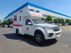 Great Wall Fangcang Ambulance
