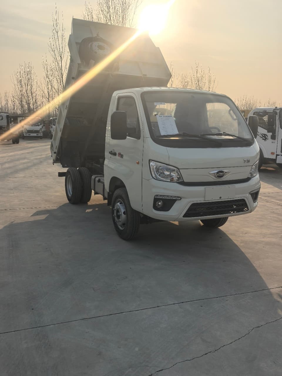 Foton Xiangling TM5 Dump Truck