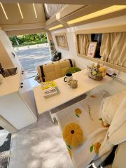 Geely Remote V7E Star Enjoying Mustard Seed Space RV