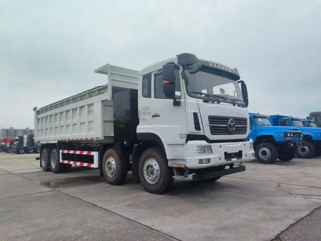 Dongfeng Teqi New Energy 8 × 4 Project dump truck