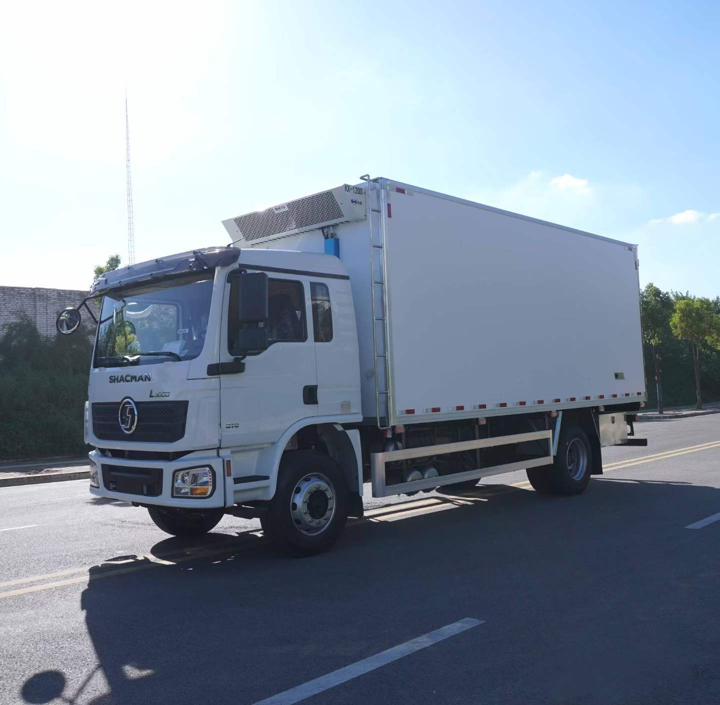 Shacman Delong L3000 Refrigerated Truck