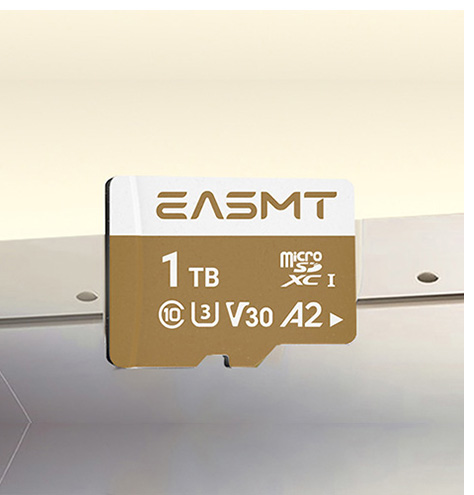 EASMT MicroSD Card