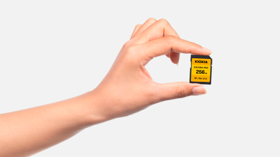 SD Card | EXCERIA PRO