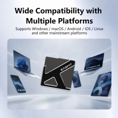 EASMT R101 Portable SSD