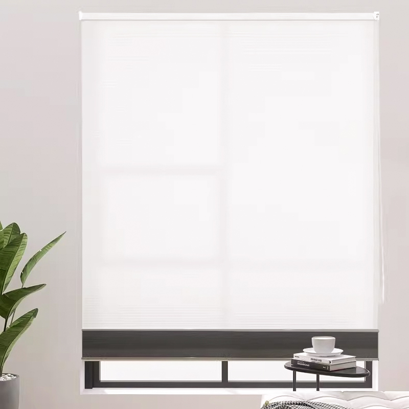 Day and night curtain