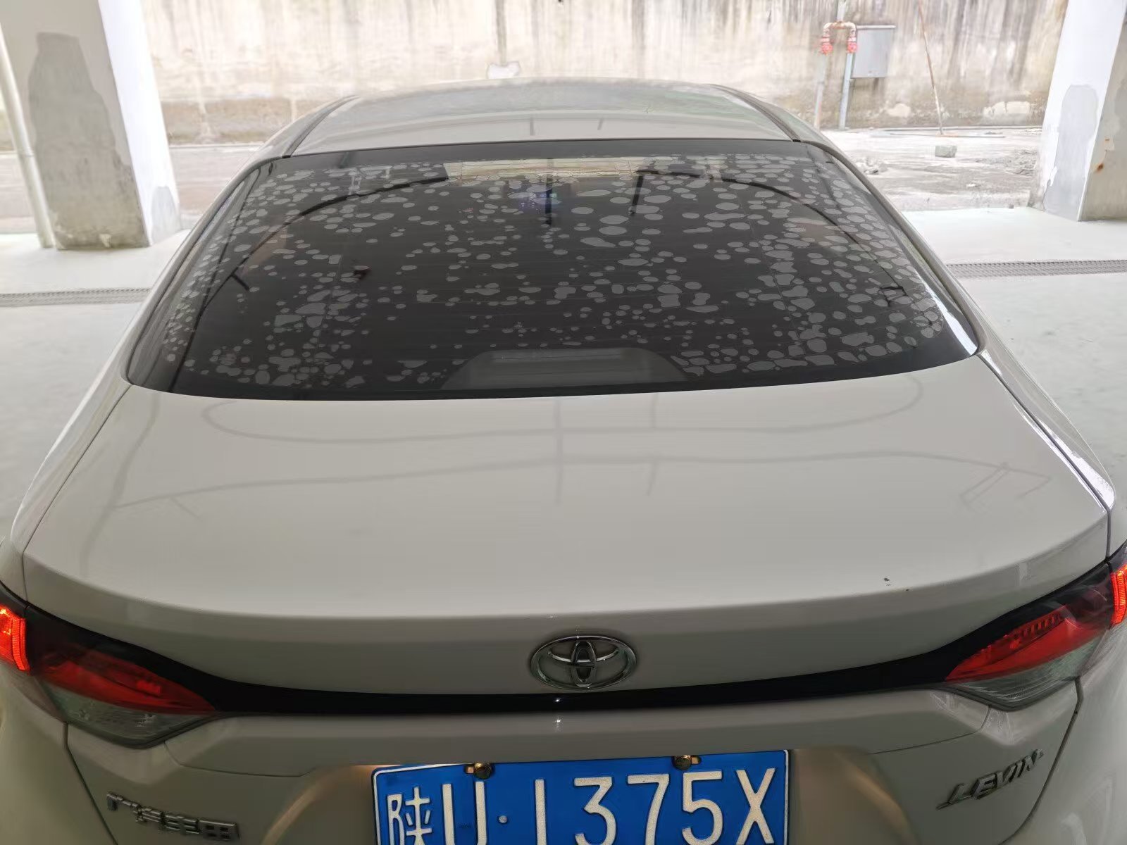 Toyota Levin 2022 TNGA 1.5L CVT
