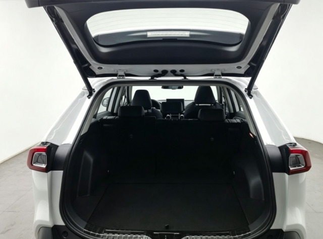 Toyota Wildlander 2020 2.0L Premium Edition AWD