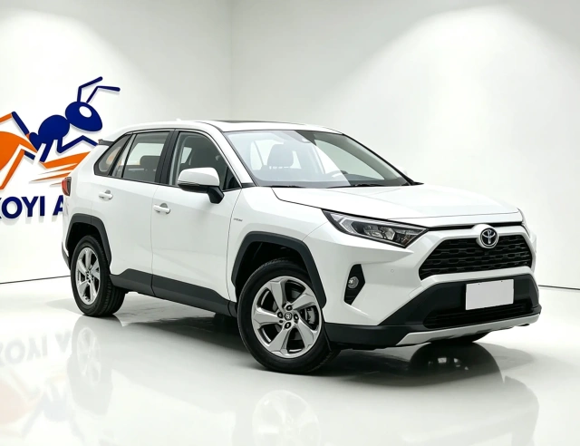 Used Toyota RAV4 2022 2.0L Fashion PLUS Edition