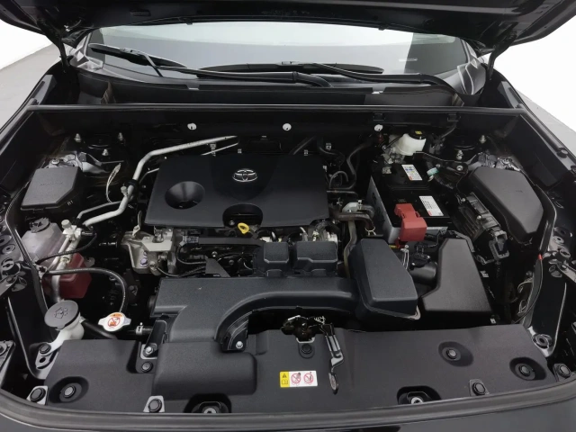 Used Toyota RAV4 2023 2.0L Fashion Plus Edition