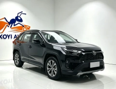 Used Toyota RAV4 2023 2.0L Fashion Plus Edition