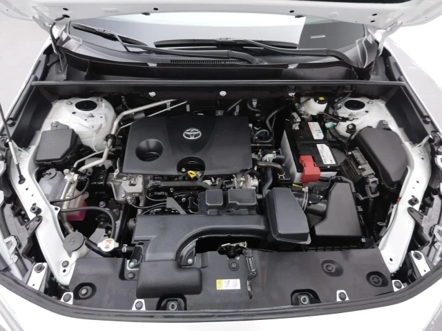 Used Toyota RAV4 2023 2.0L Platinum Edition