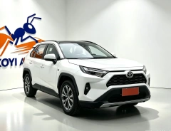 Used Toyota RAV4 2023 2.0L Platinum Edition