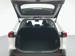 Used Toyota RAV4 2020 2.0L Fashion Plus Edition