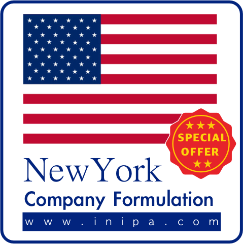 New York State Company Establishment Service