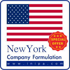 New York State Company Establishment Service