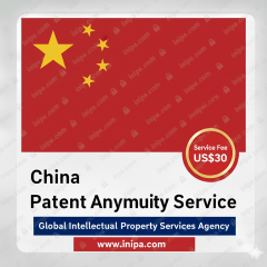Chinese Patent Annual Fee Payment Service