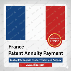French Patent Annual Fee Payment Service