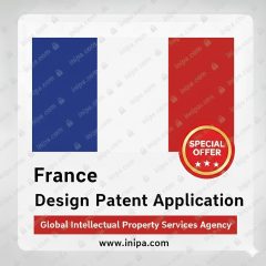 France Design Patent Application and Fees