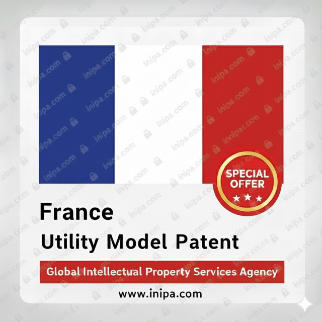 French Utility Model Patent Application and Fees
