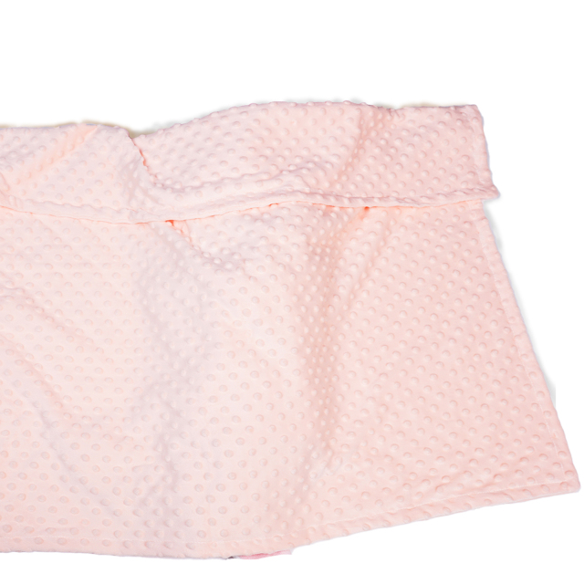 Custom Embroidered Minky Dot Blanket