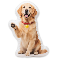 Custom Decorative Throw Pillow