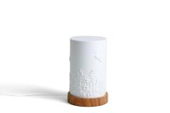 Custom 3D Printed Ambient Lamp