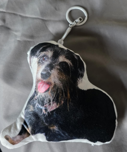 Custom Keychain Pillow