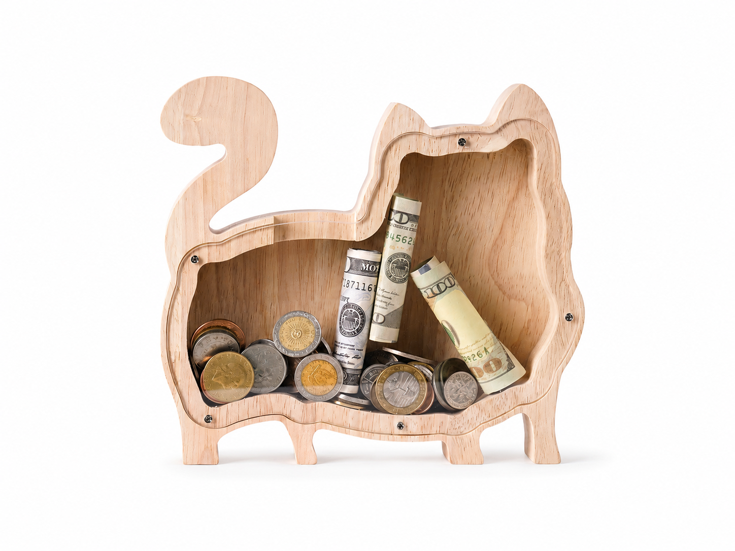 Single-Sided Transparent Wooden Piggy Bank