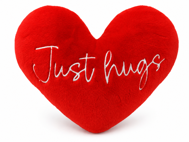 Custom Embroidered Plush Throw Pillow