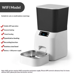 Wifi model