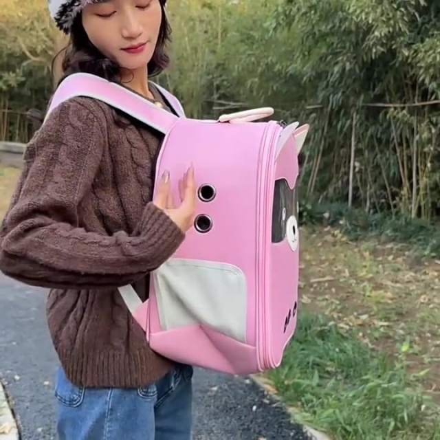 Foldable Portable Cartoon Design Cat Carrier Backpack