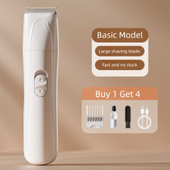 Basic model