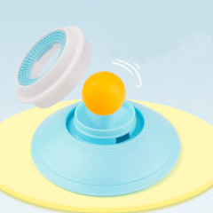 Slow Feeder Dog Cat Lick Ball Bowl Treat Dispenser