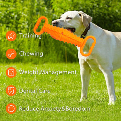 TPR Interactive Dog Toothbrush Chew Toy