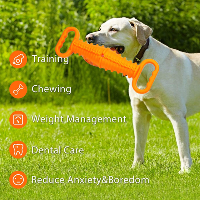 TPR Interactive Dog Toothbrush Chew Toy