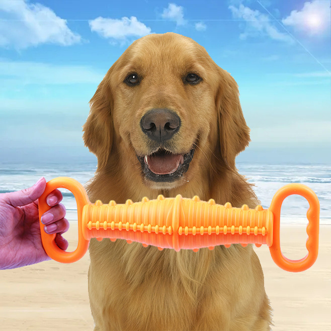 TPR Interactive Dog Toothbrush Chew Toy