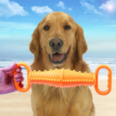 TPR Interactive Dog Toothbrush Chew Toy