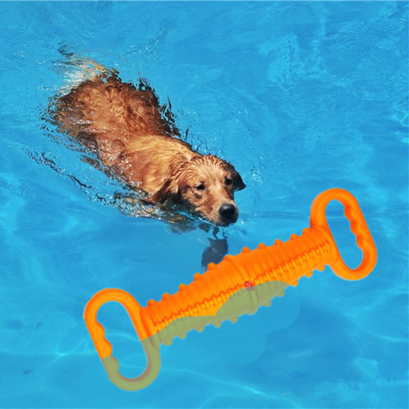 TPR Interactive Dog Toothbrush Chew Toy